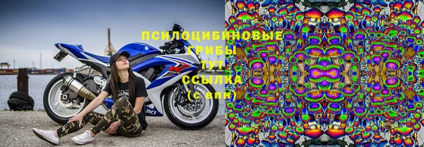 хмурый Алзамай