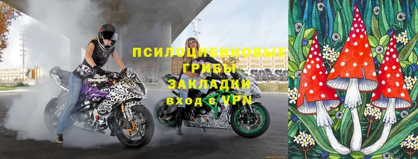хмурый Алзамай