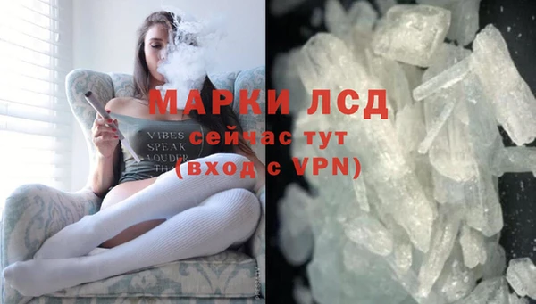 хмурый Алзамай