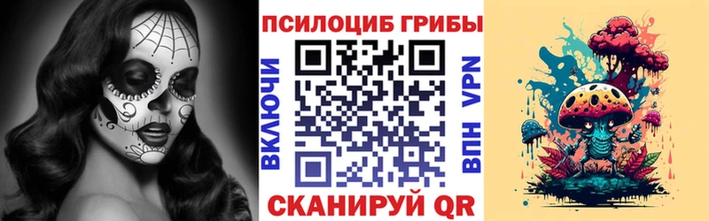 Псилоцибиновые грибы GOLDEN TEACHER  кракен ссылки  Грайворон 